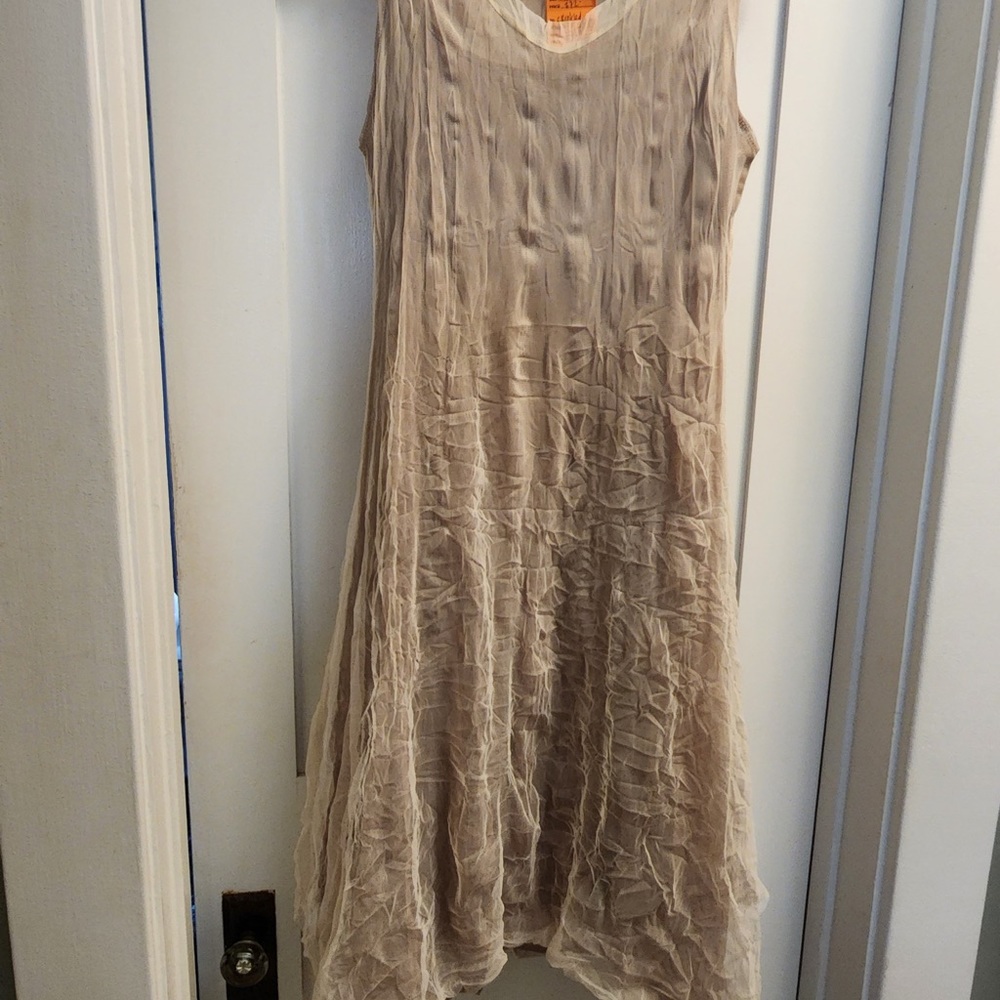 NWT-Champagne Dress with Silk Lining